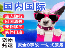 博鳌航空运输国际宠物托运 【国